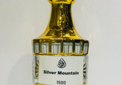 SILVER-MOUNTAIN-PIC